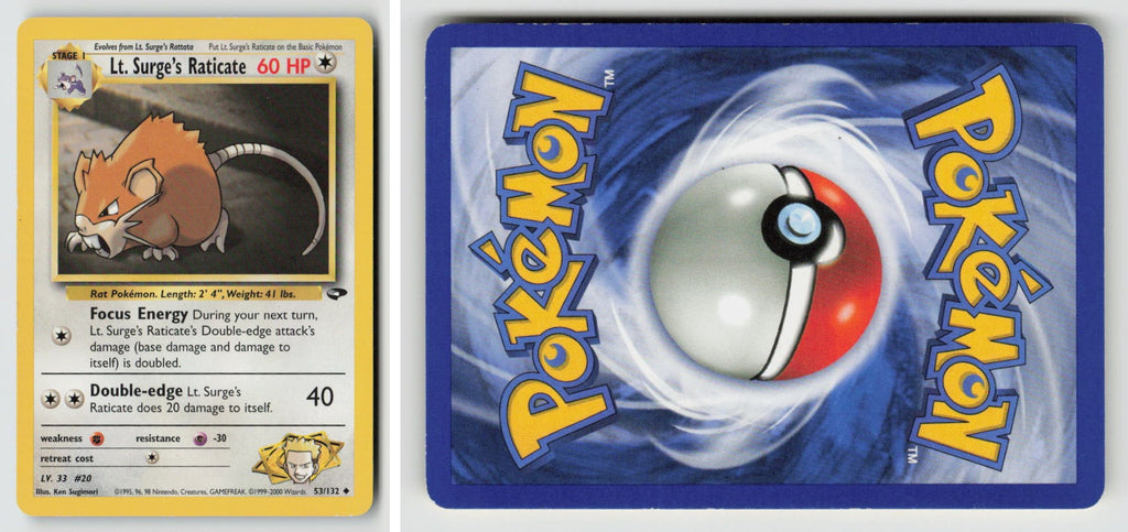 Front + Back scan