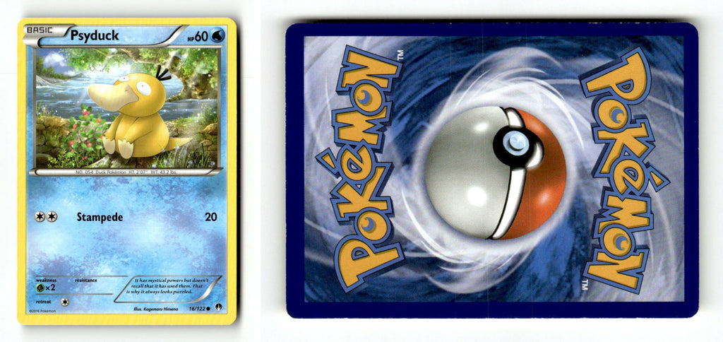Front + Back scan