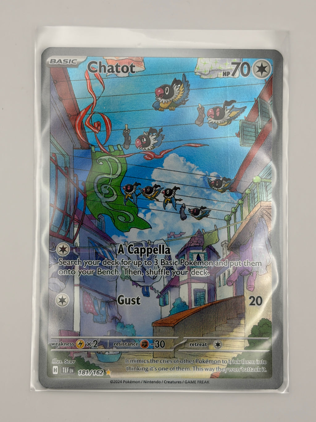 Chatot - 181/162
