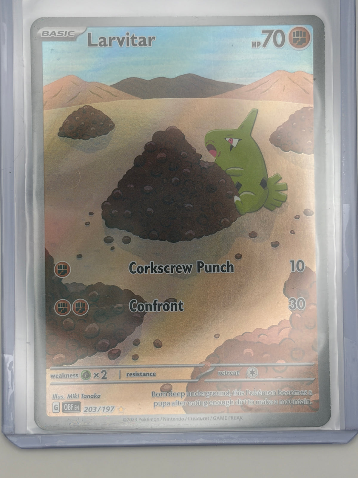 Larvitar - 203/197