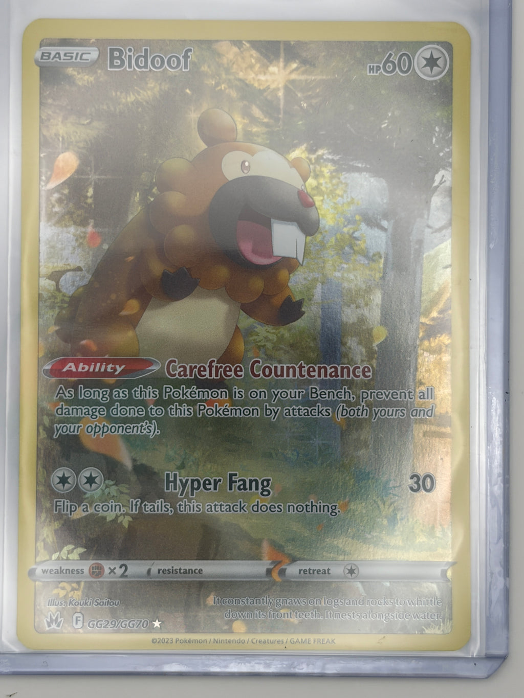 Bidoof