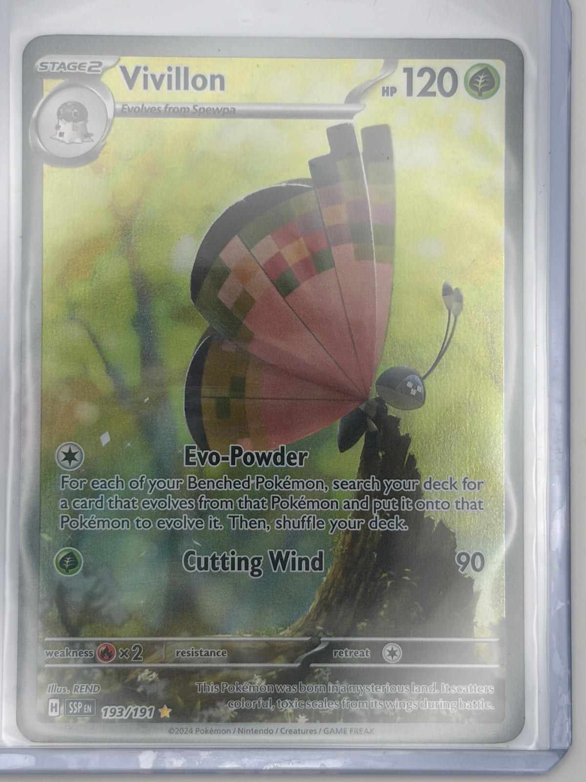 Vivillon - 193/191