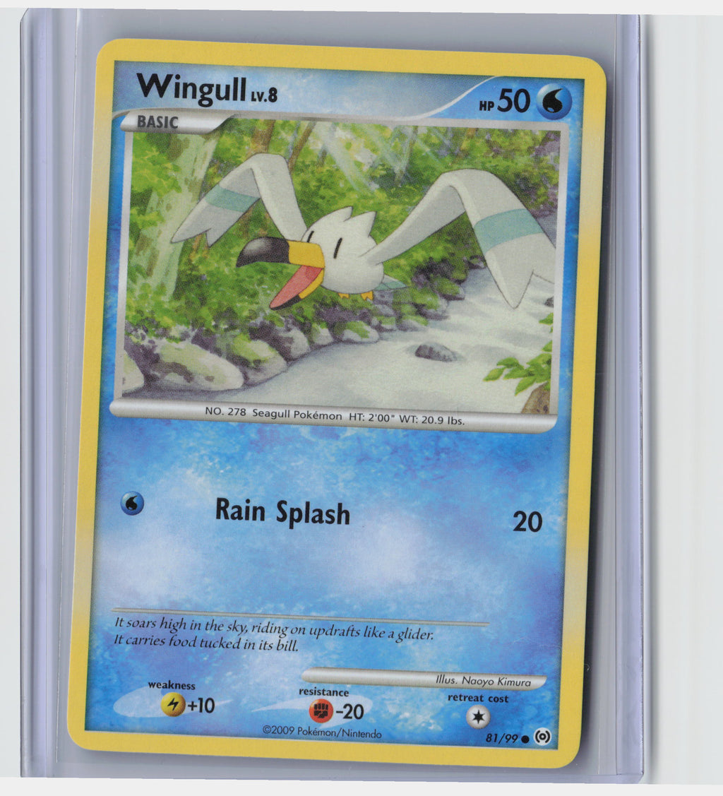 Wingull (81)