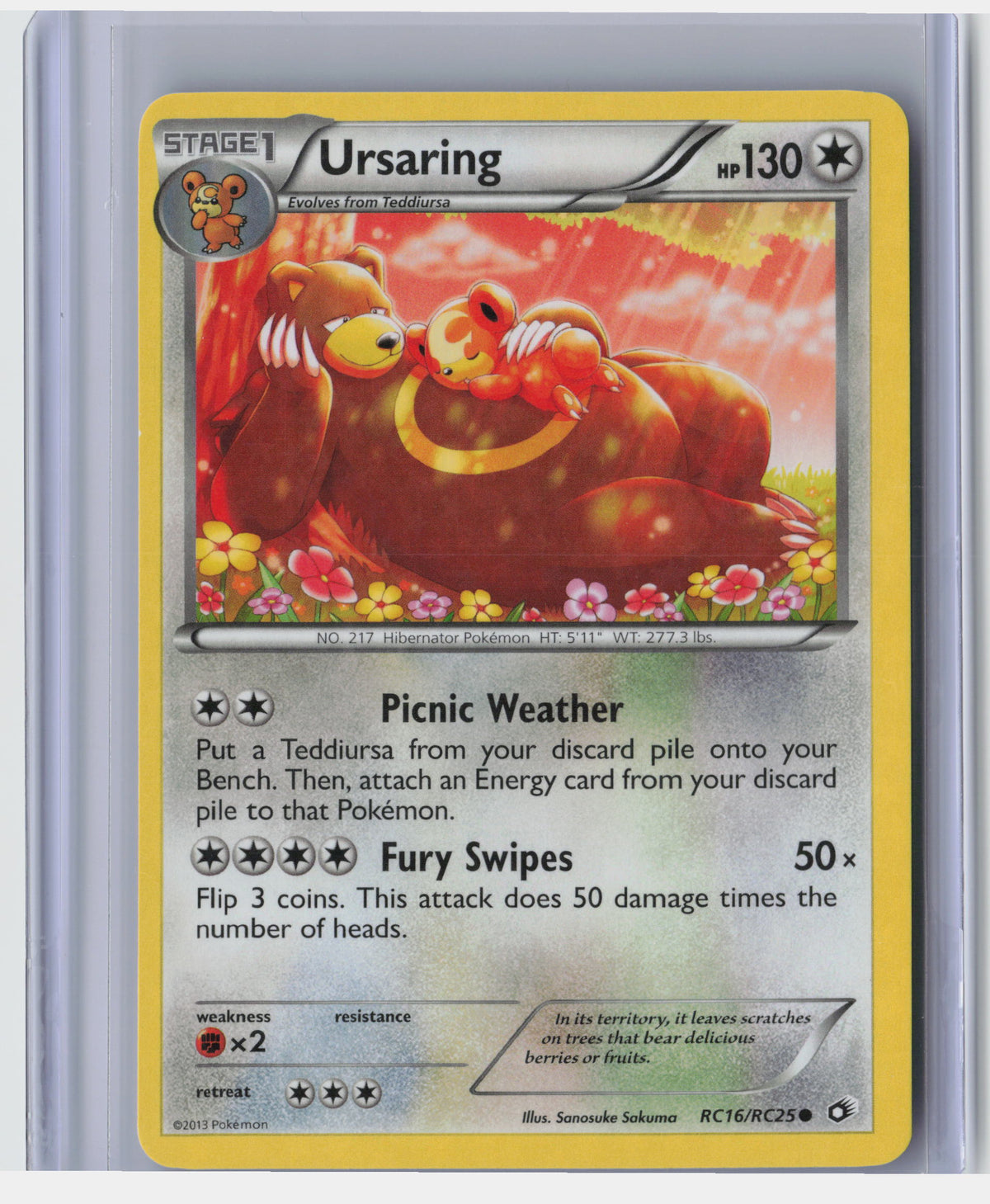 Ursaring