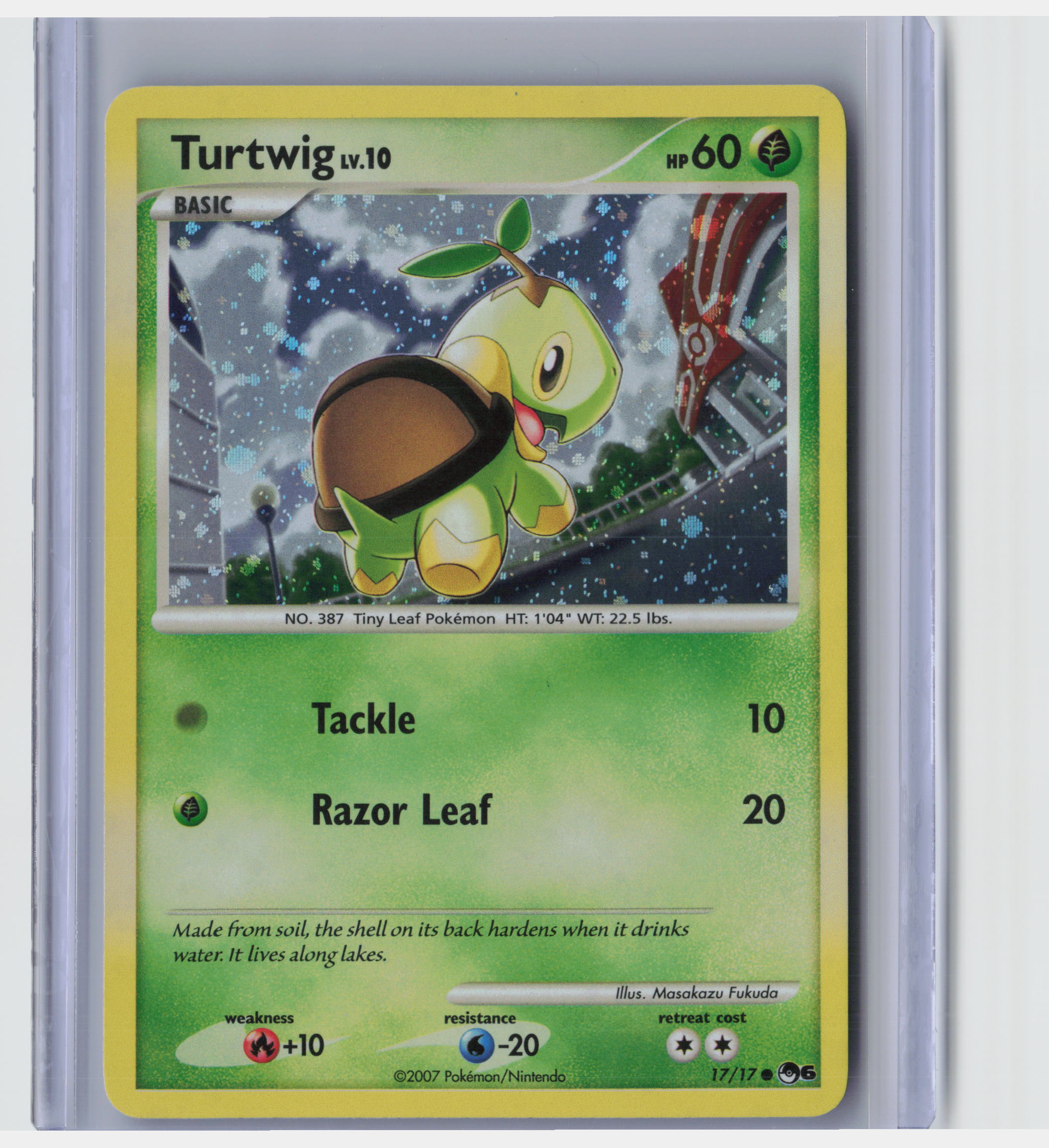 Turtwig