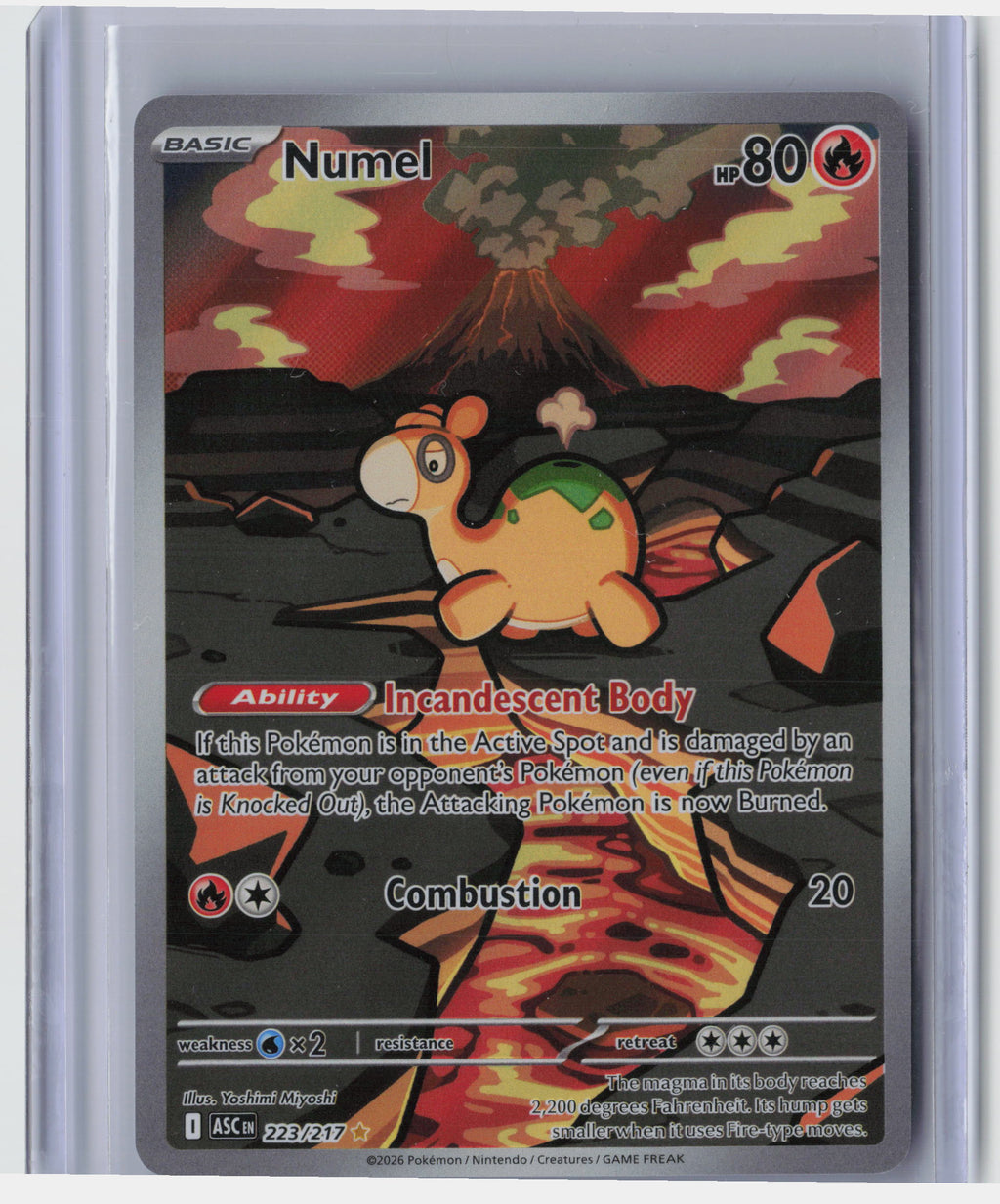 Numel - 223/217