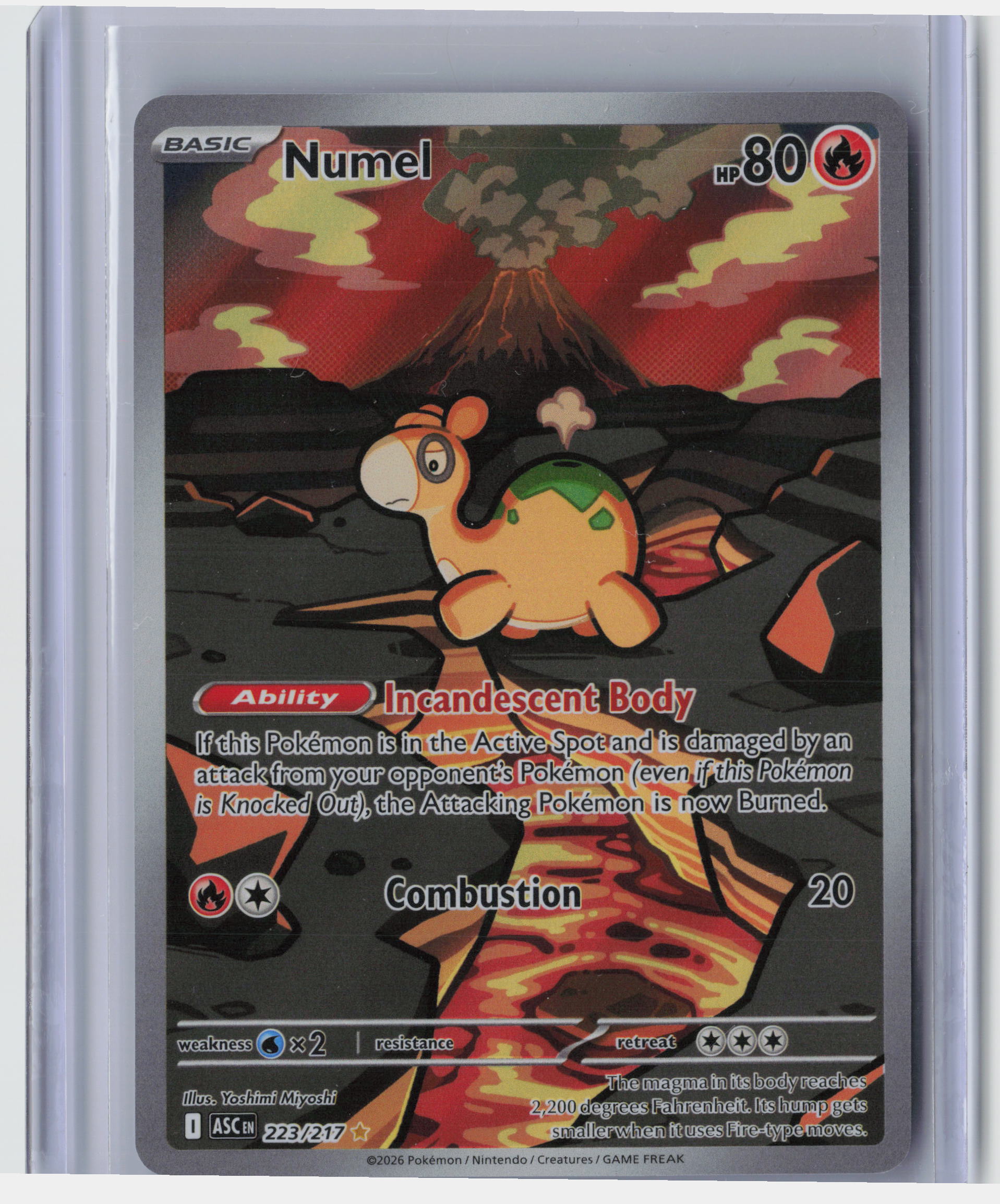 Numel - 223/217