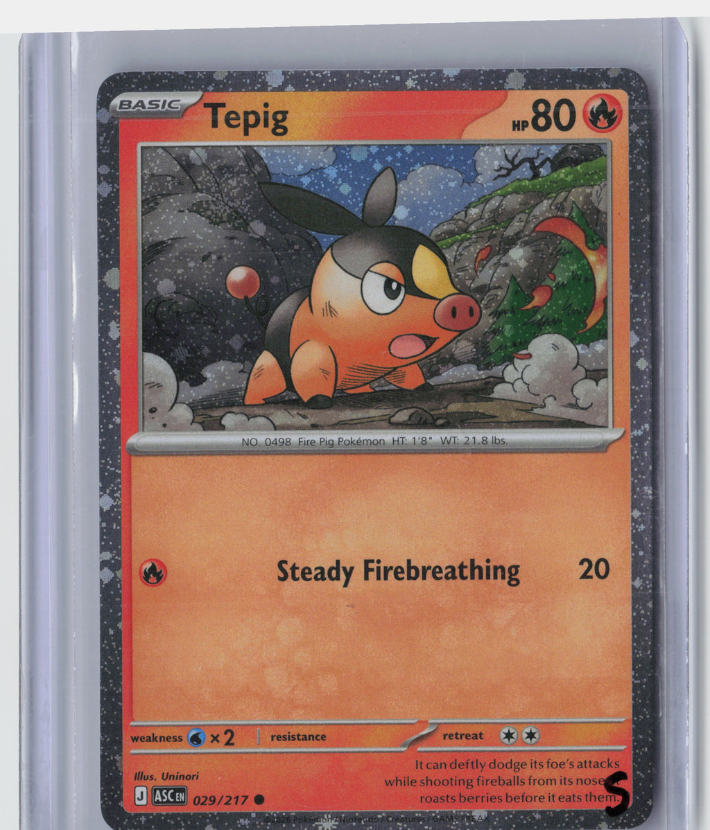Tepig - 029/217 (Cosmos Holo)