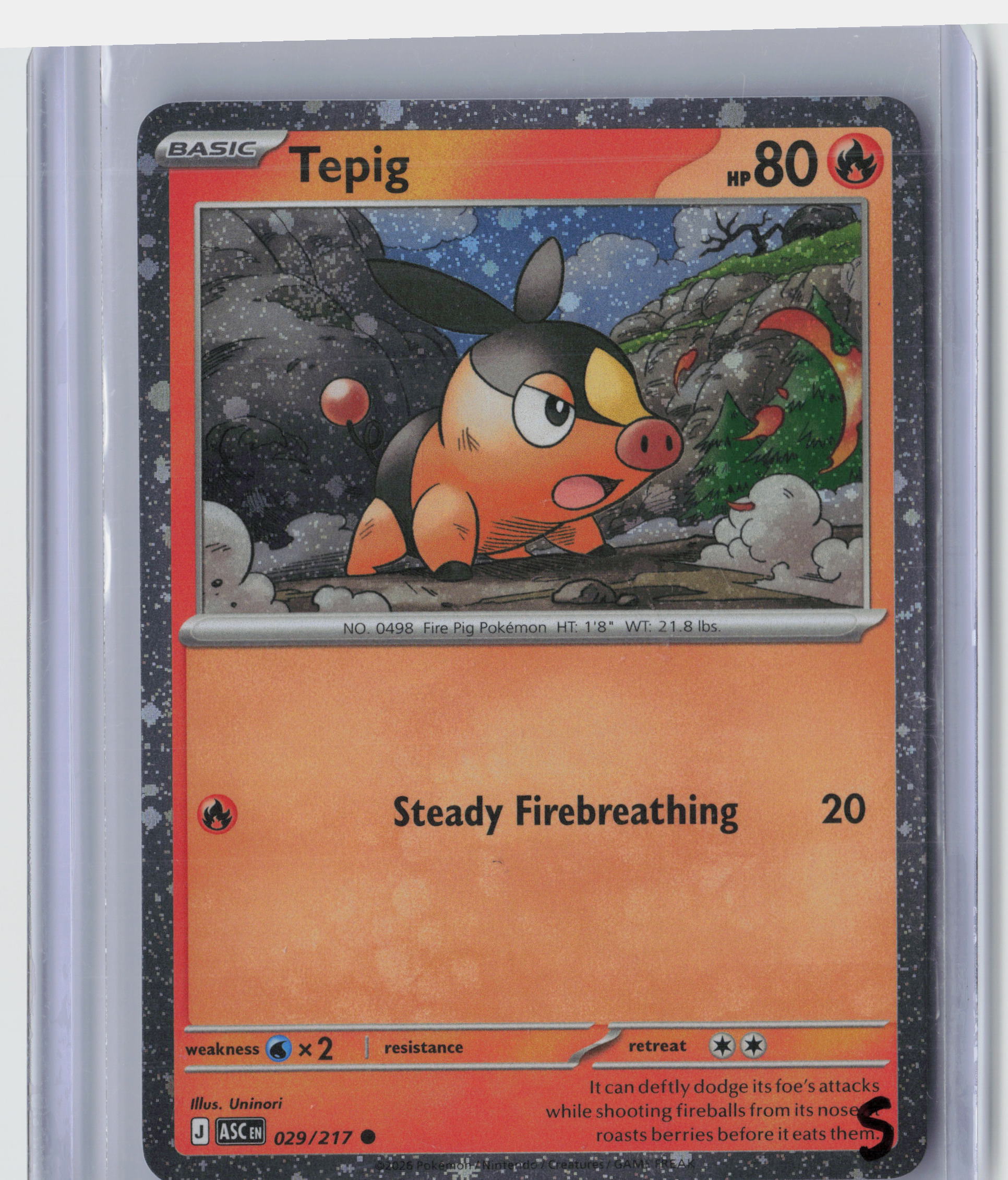 Tepig - 029/217 (Cosmos Holo)