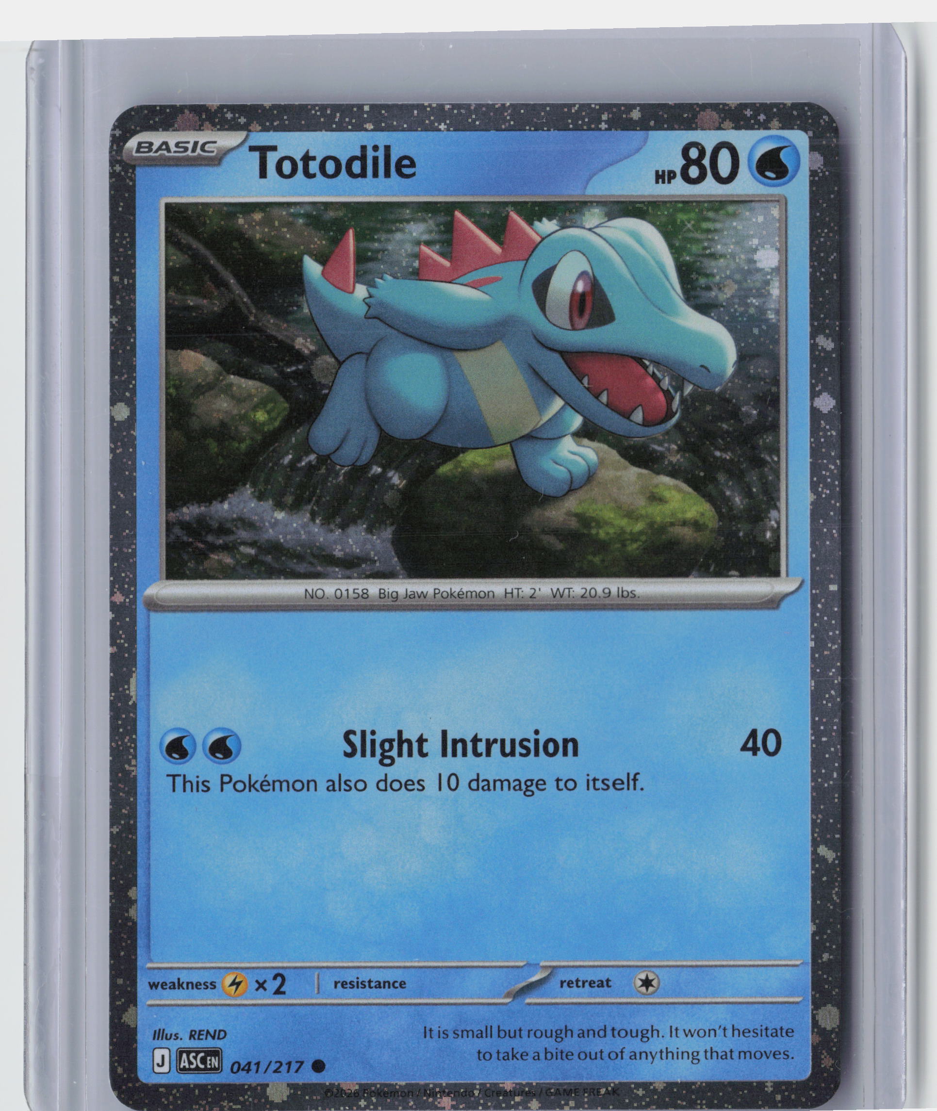 Totodile (Cosmos Holo)