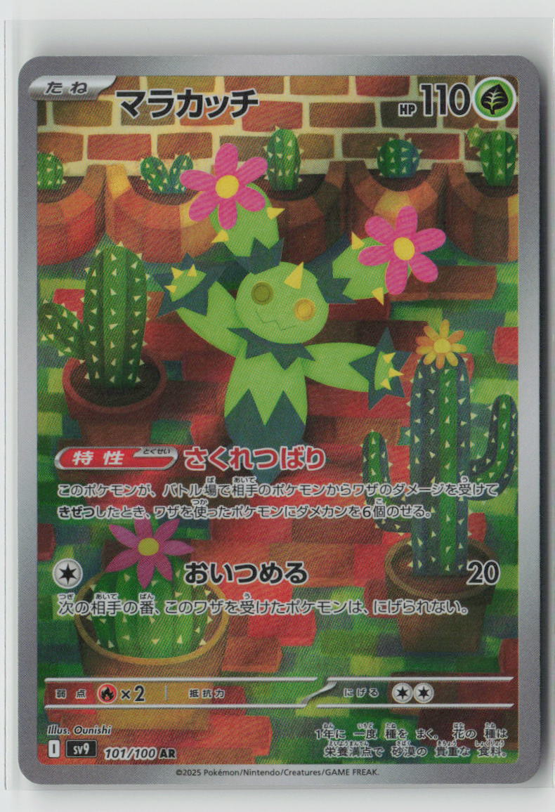 Maractus - 101/100