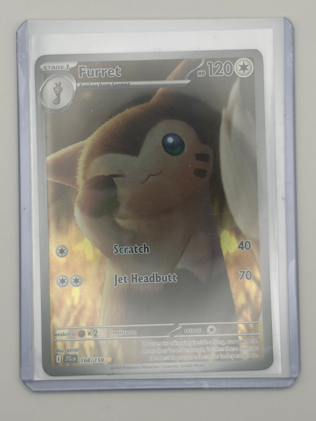 Furret - 168/159