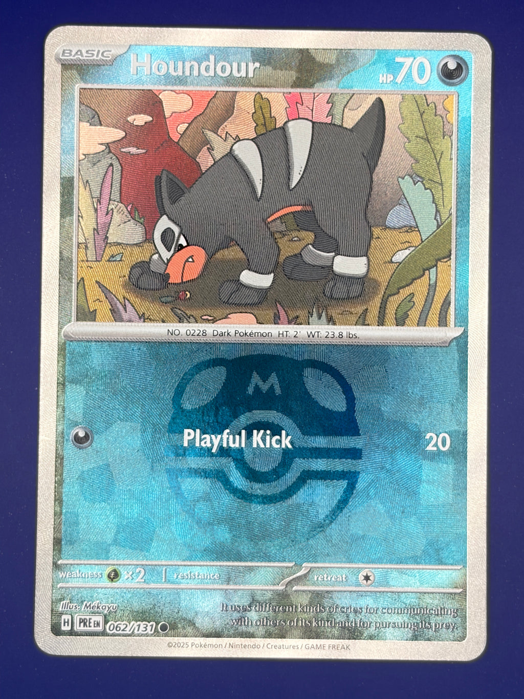 Houndour (Master Ball Pattern)