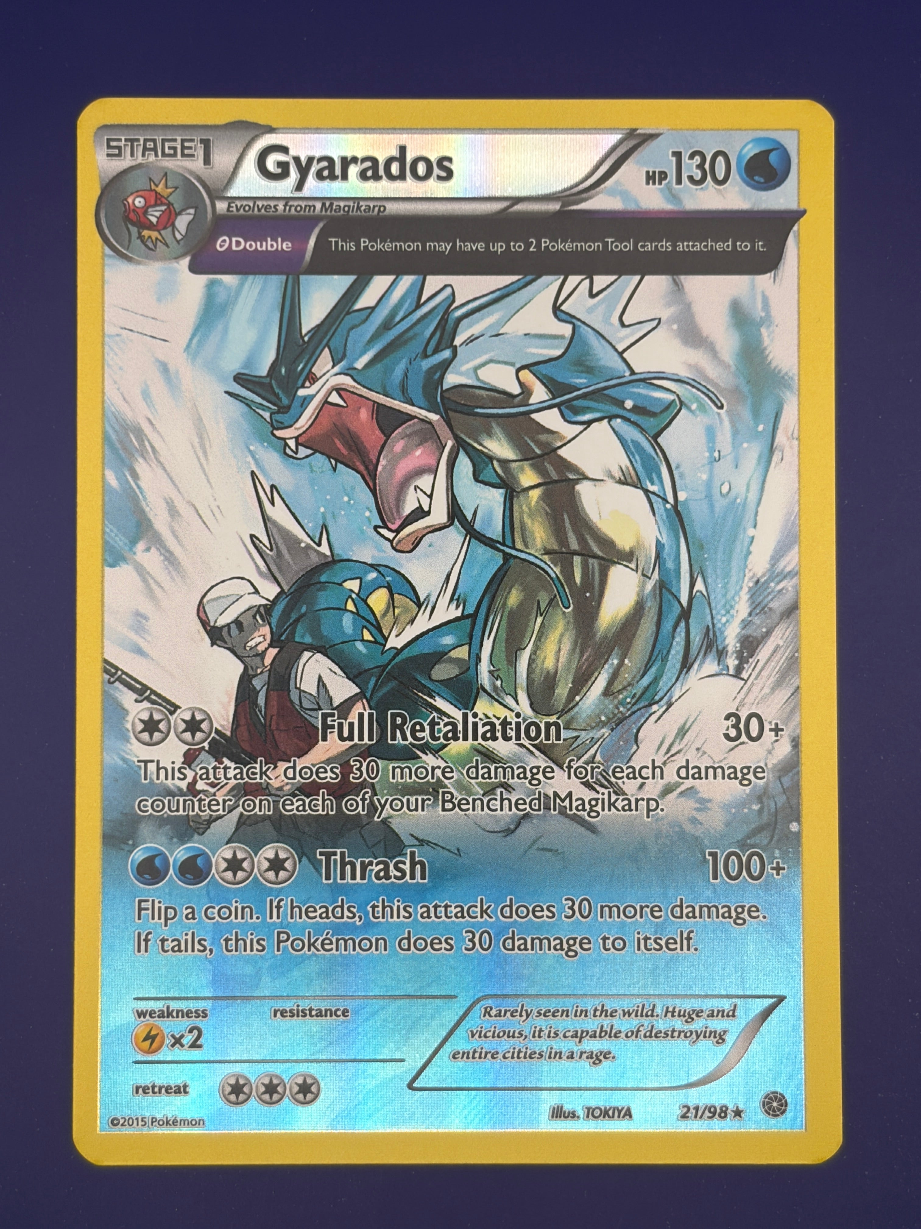 Gyarados (21)