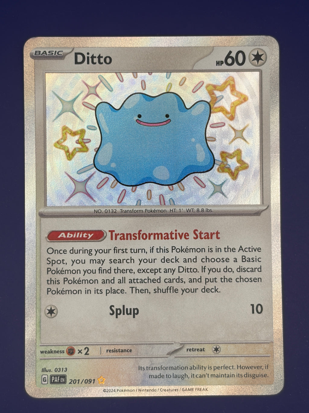 Ditto