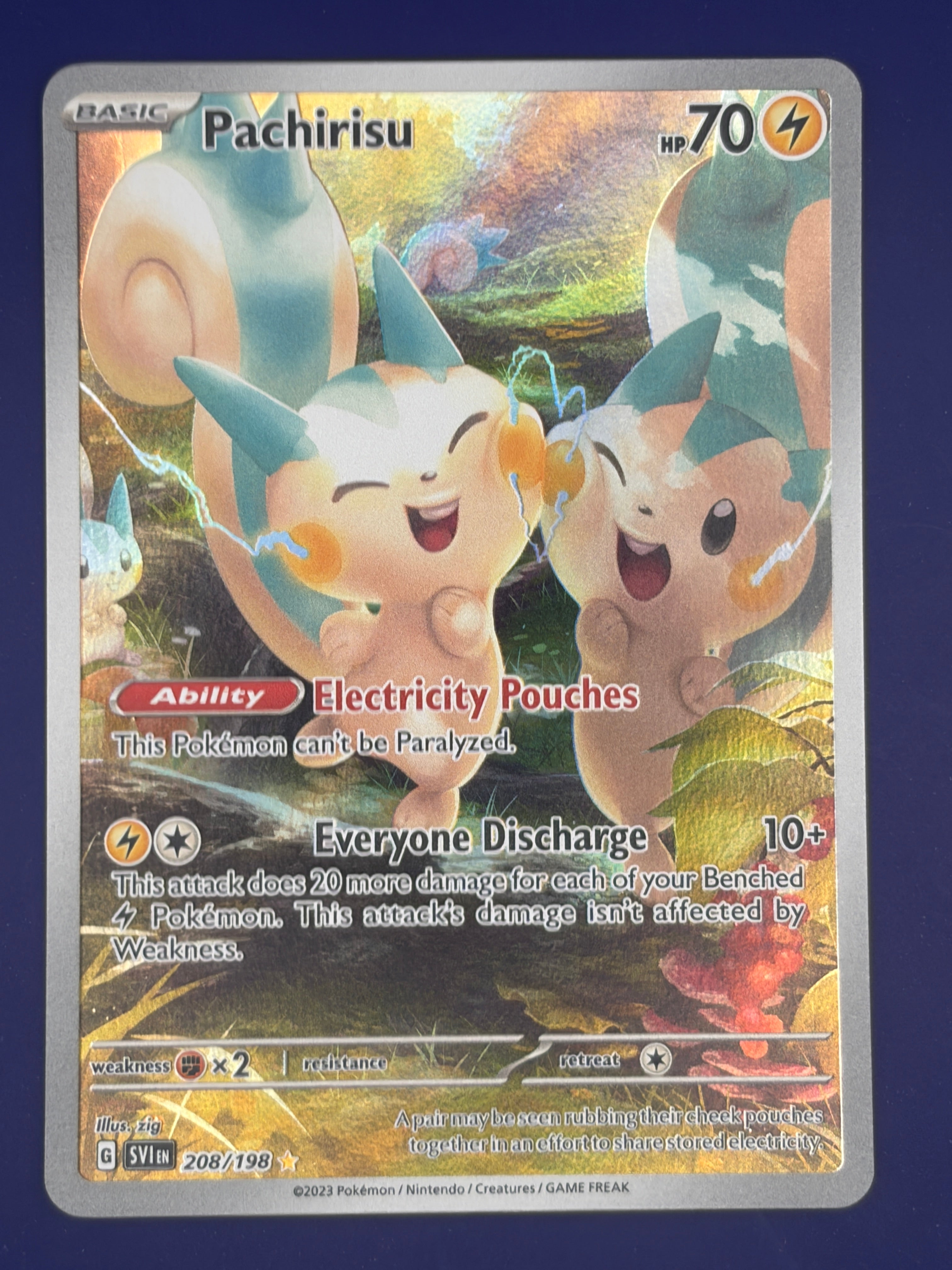 Pachirisu - 208/198