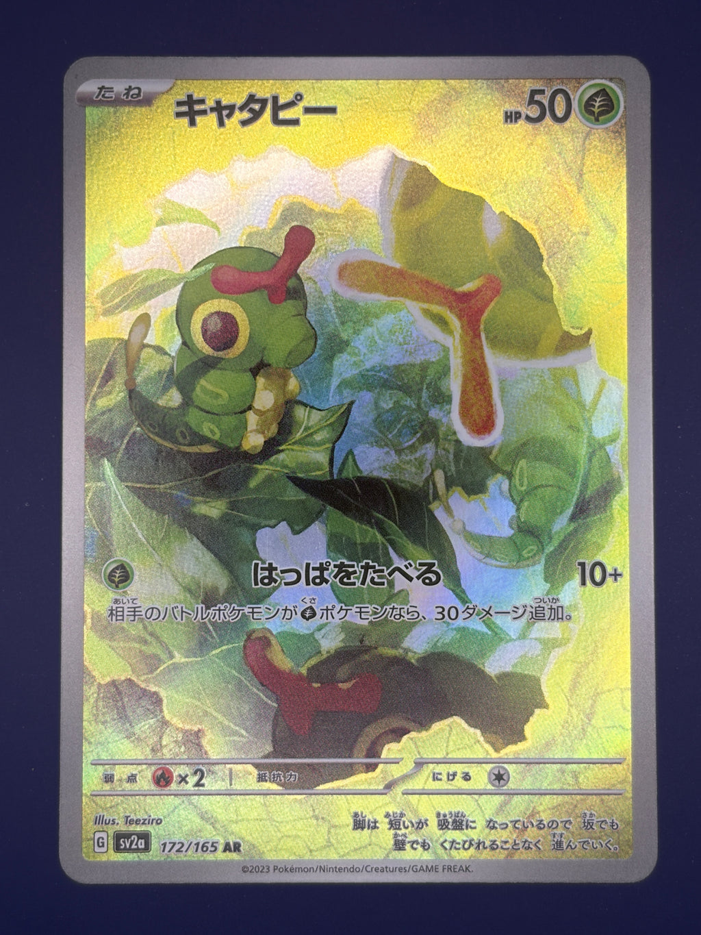 Caterpie - 172/165