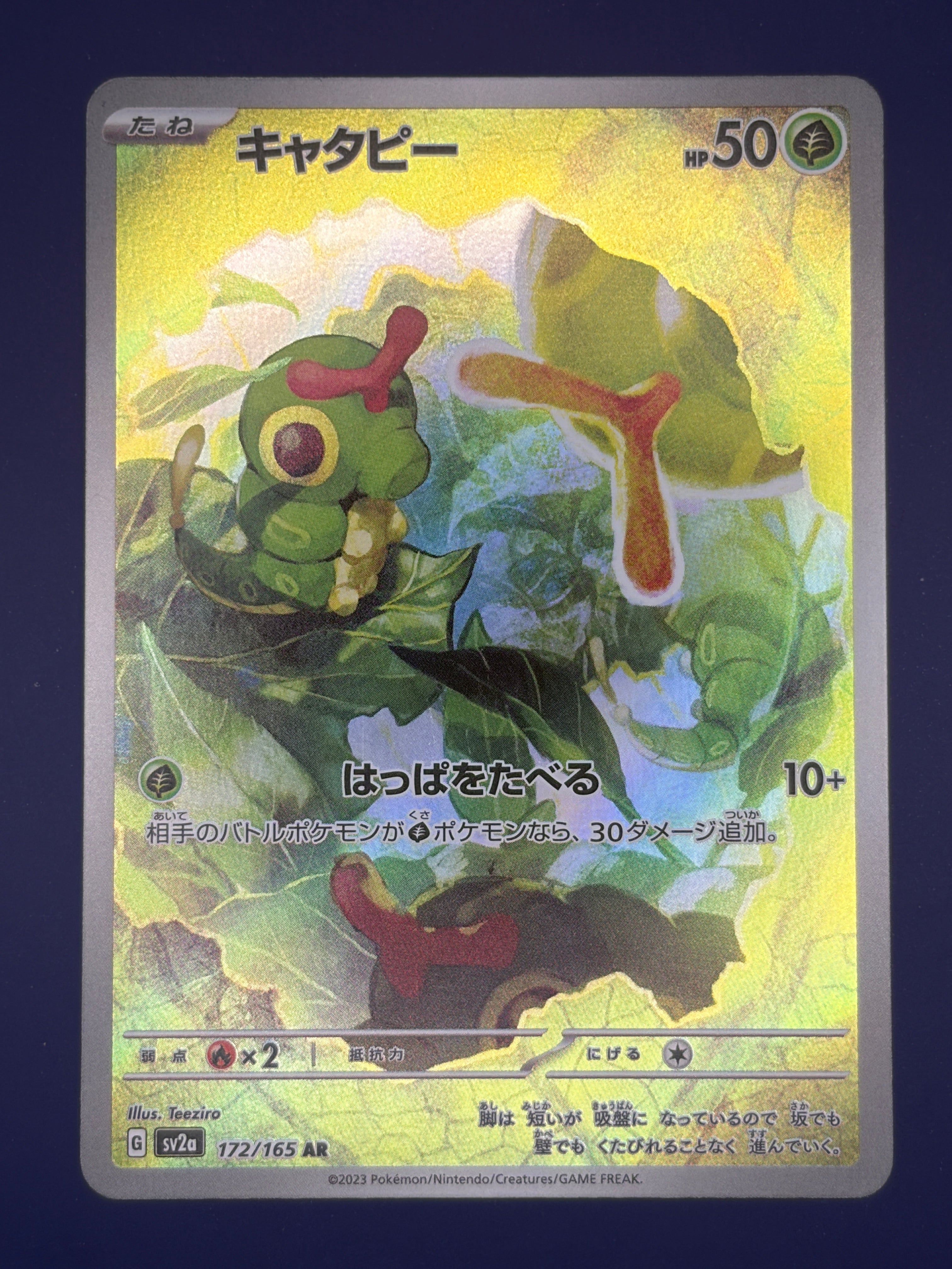 Caterpie - 172/165