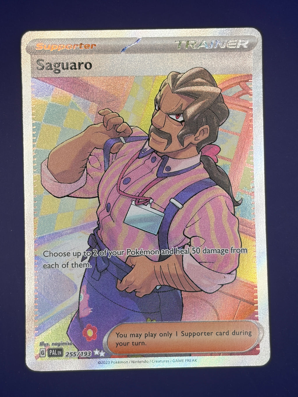 Saguaro - 255/193