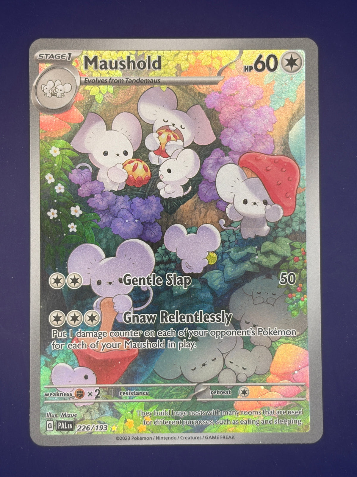 Maushold - 226/193