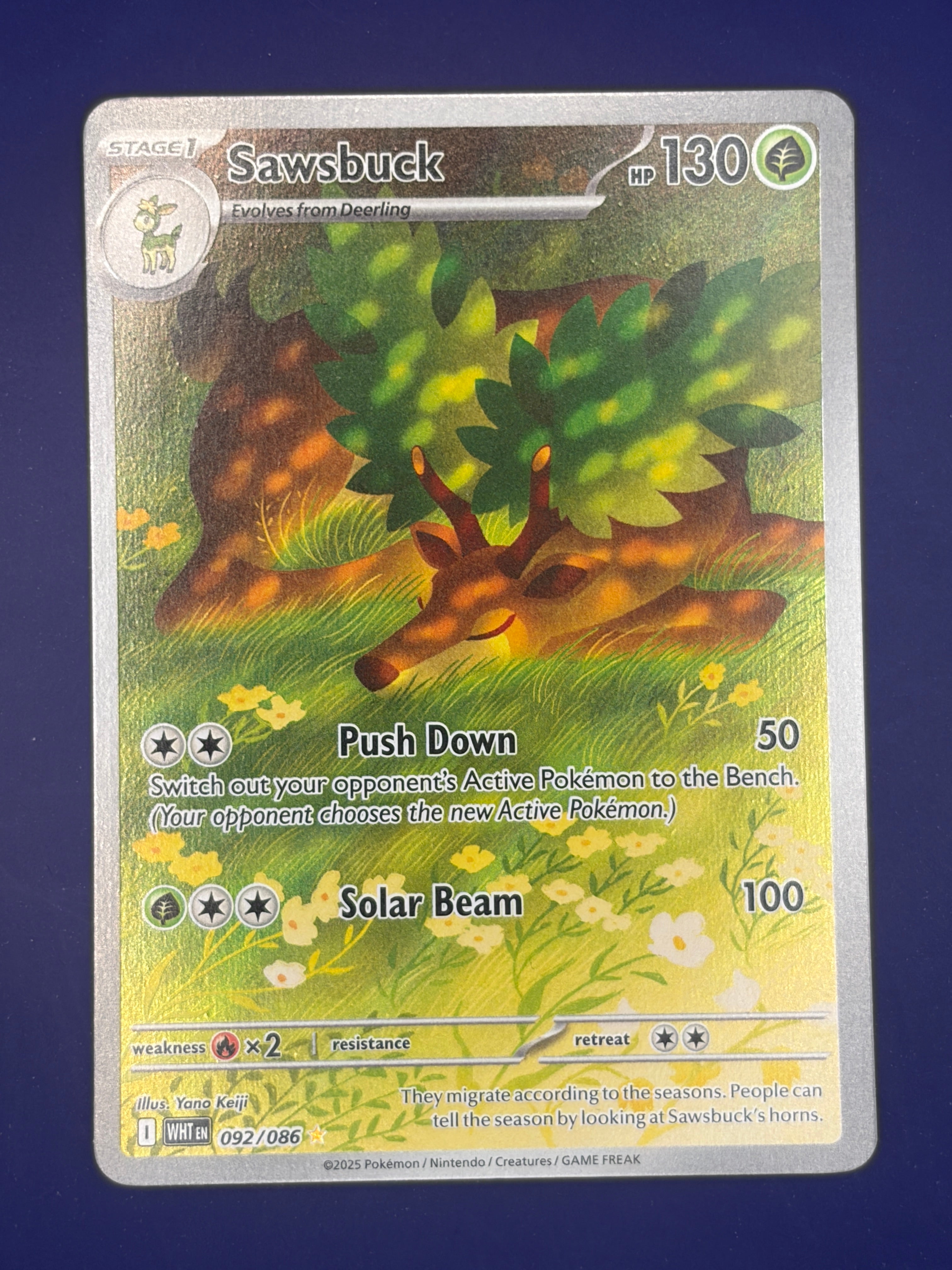 Sawsbuck - 092/086