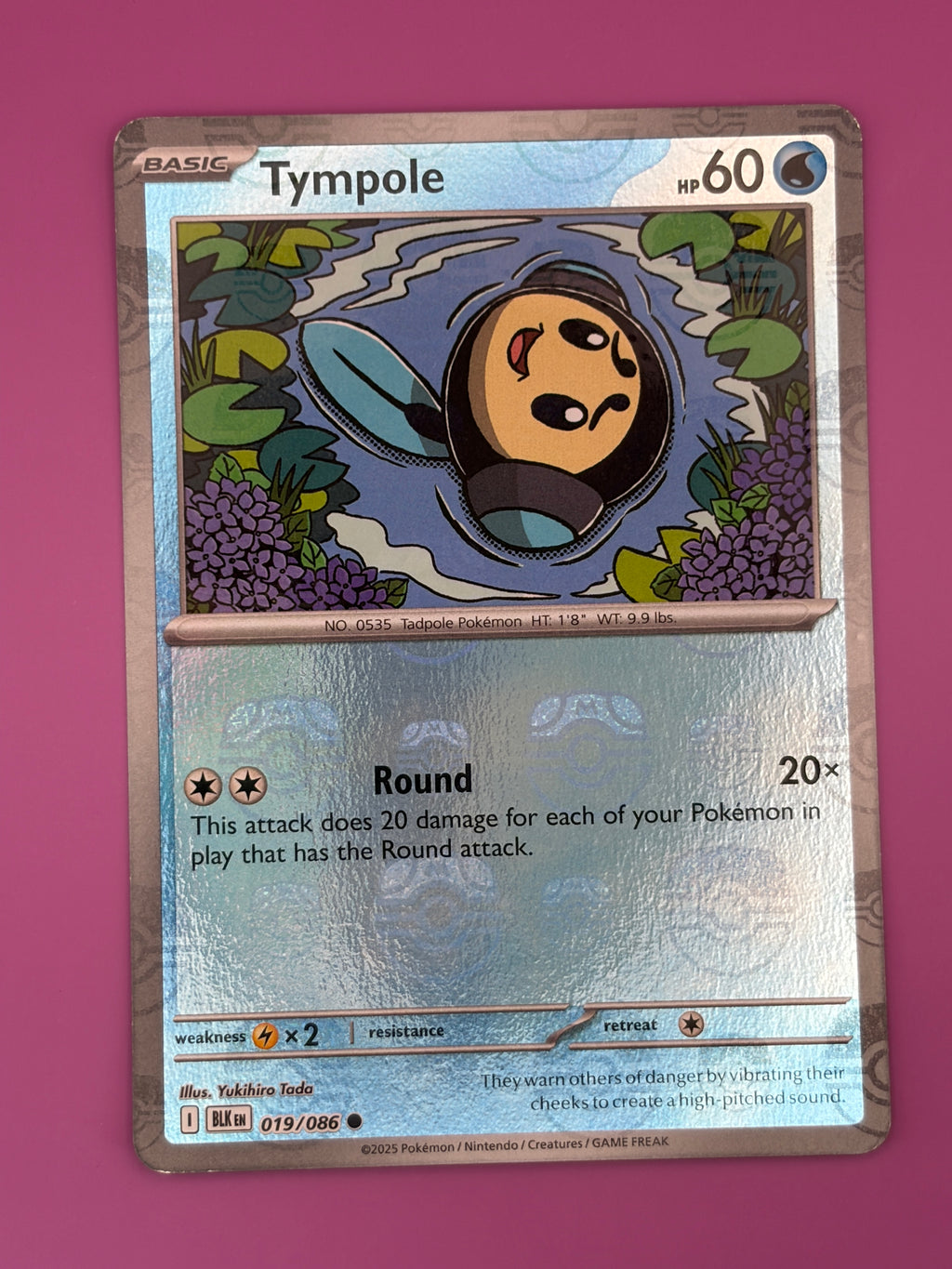 Tympole (Master Ball Pattern)