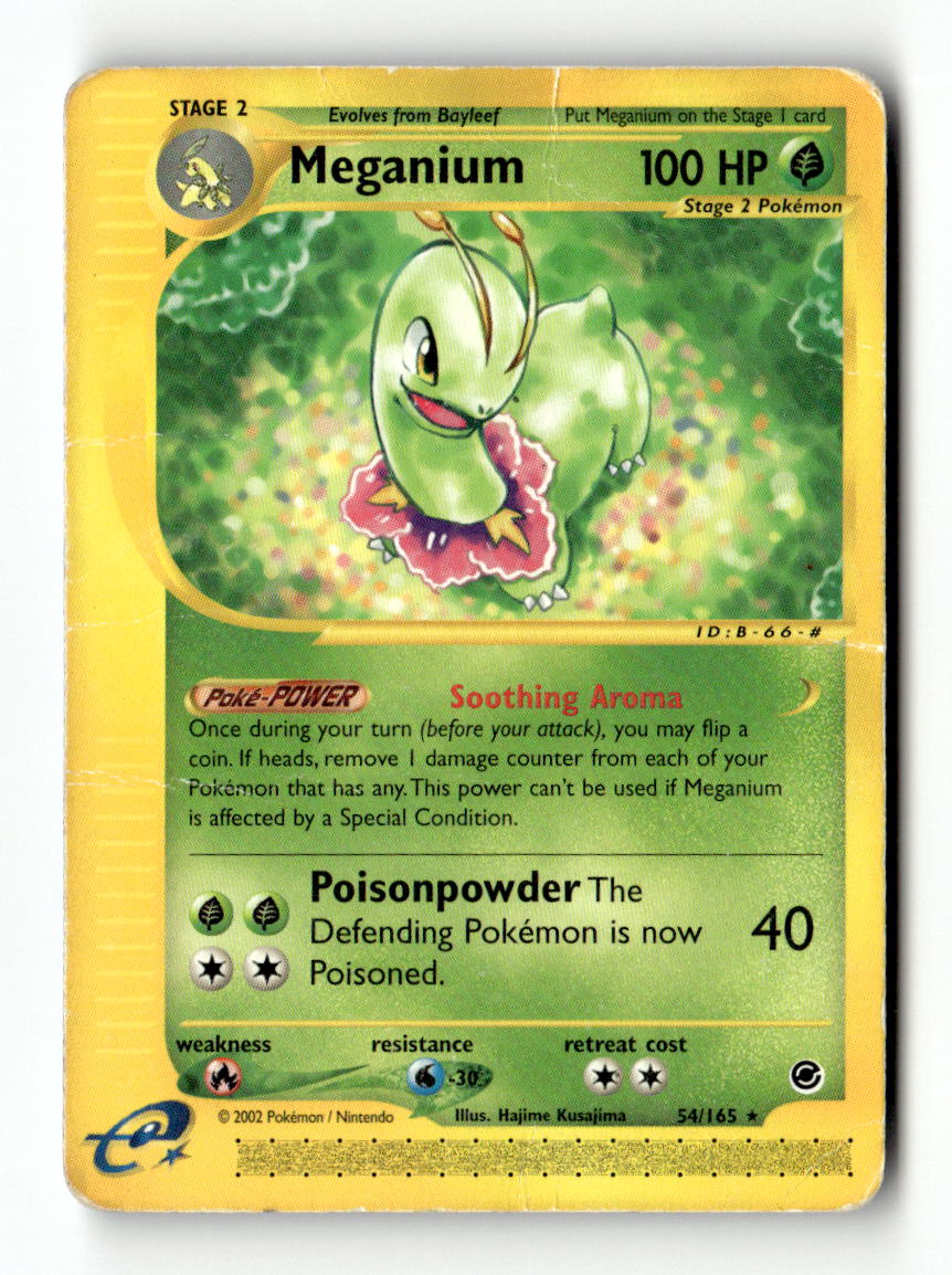 Meganium (54)