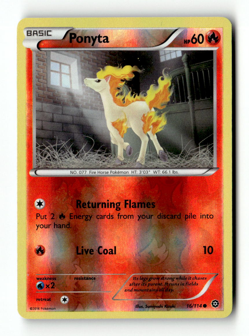 Ponyta