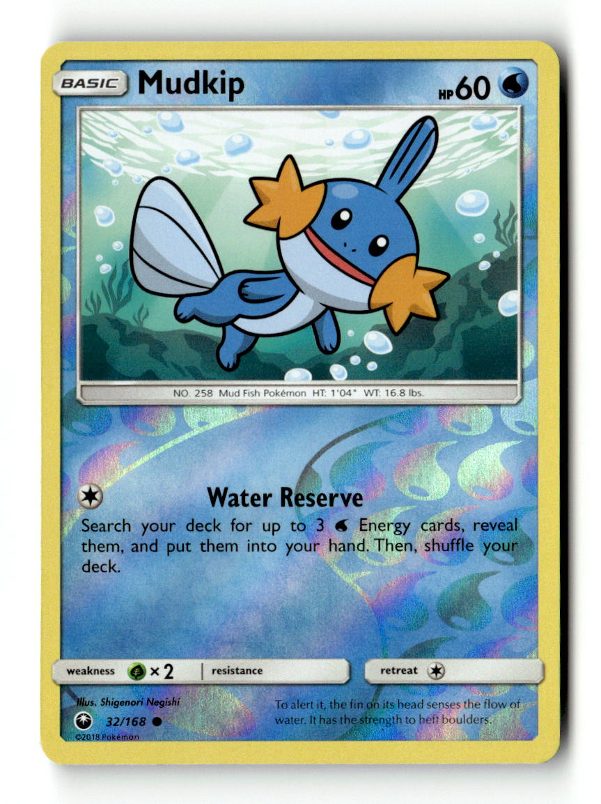 Mudkip (32)
