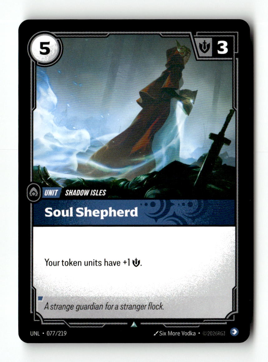 Soul Shepherd