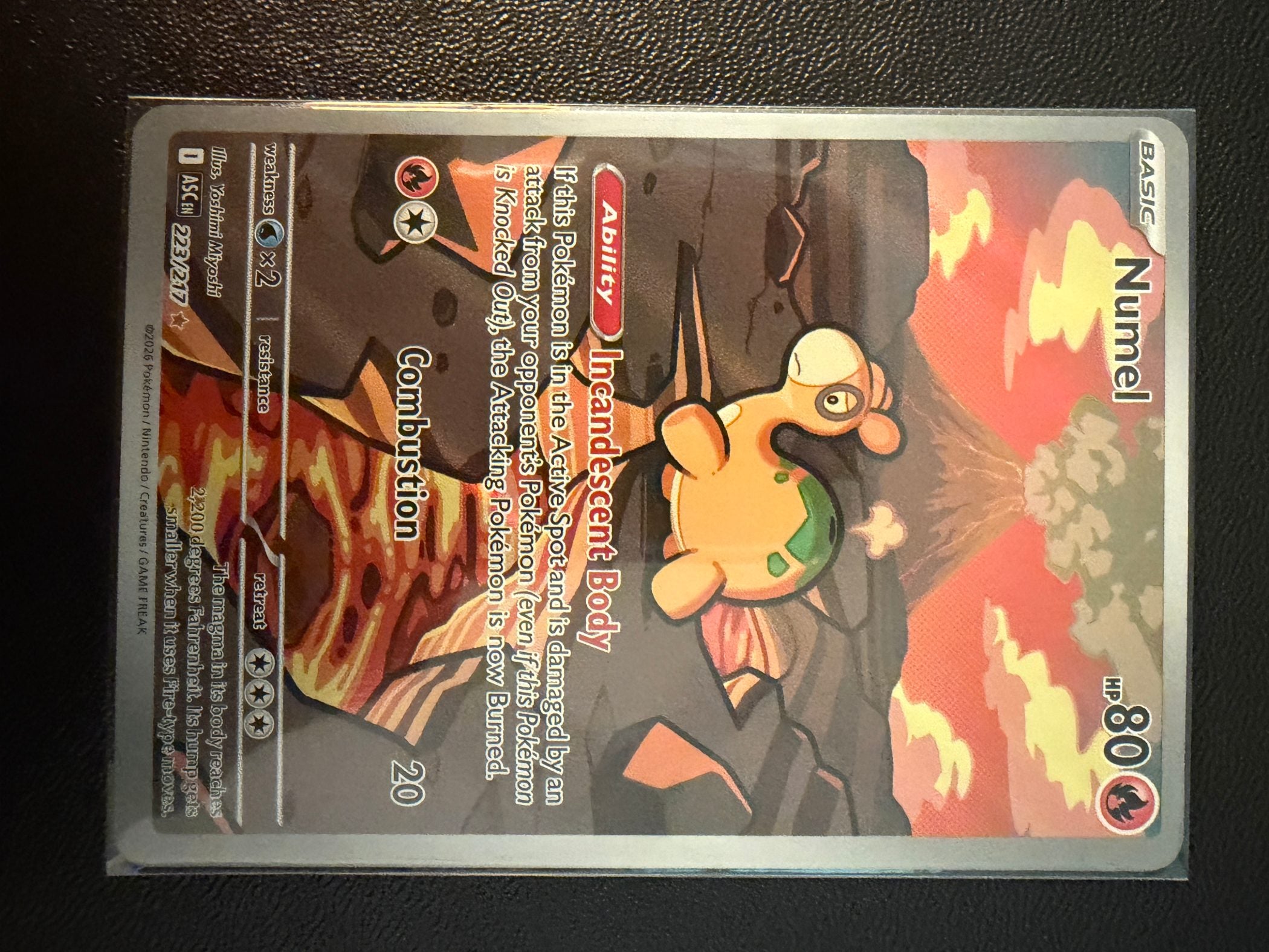 Numel - 223/217