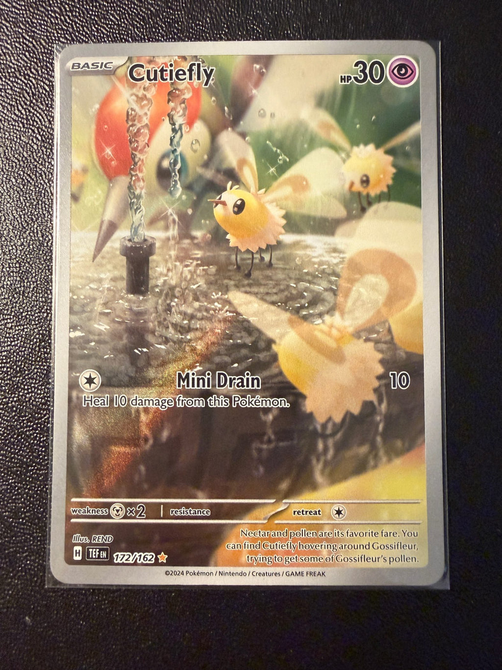Cutiefly - 172/162