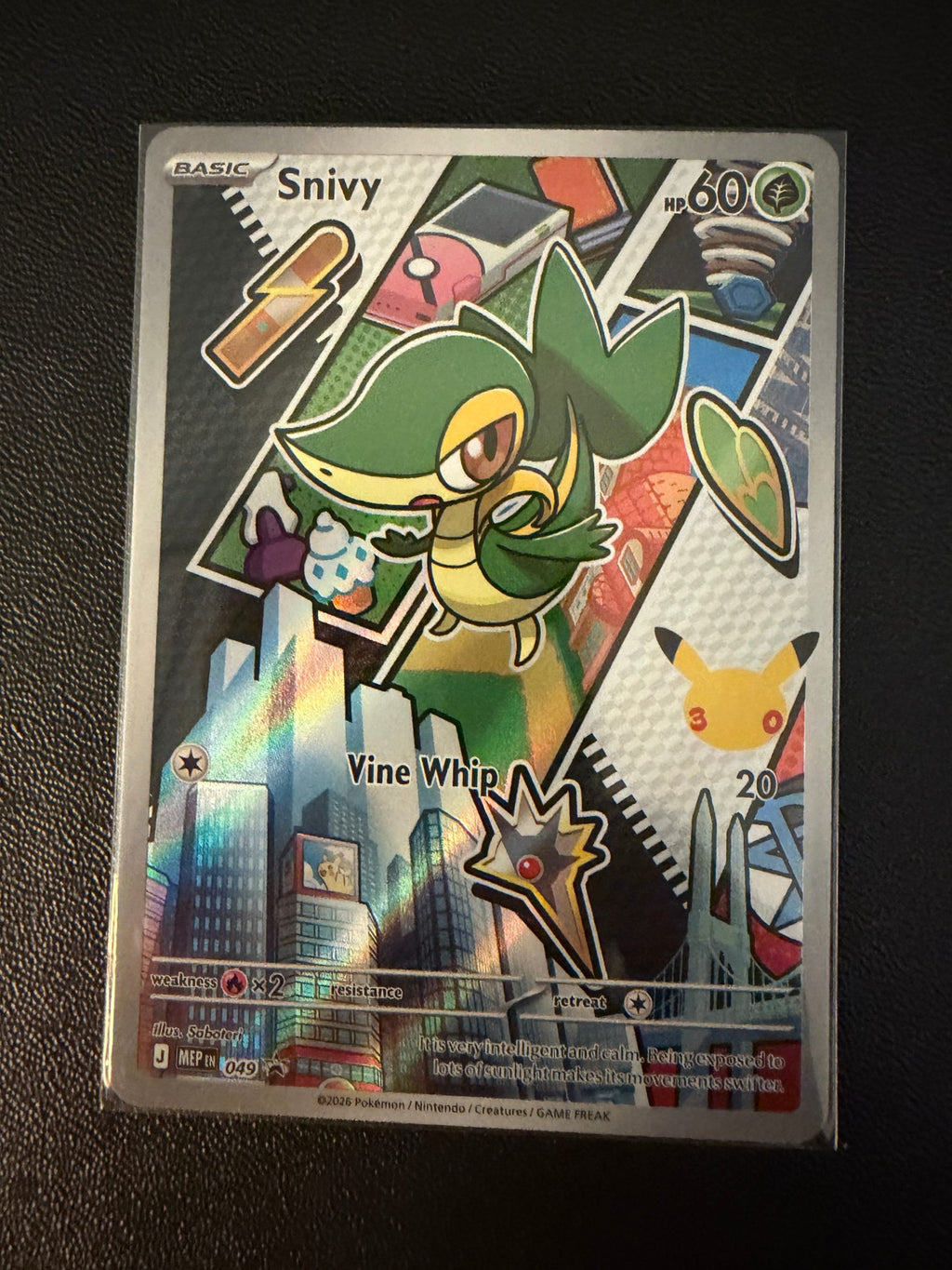 Snivy - 049