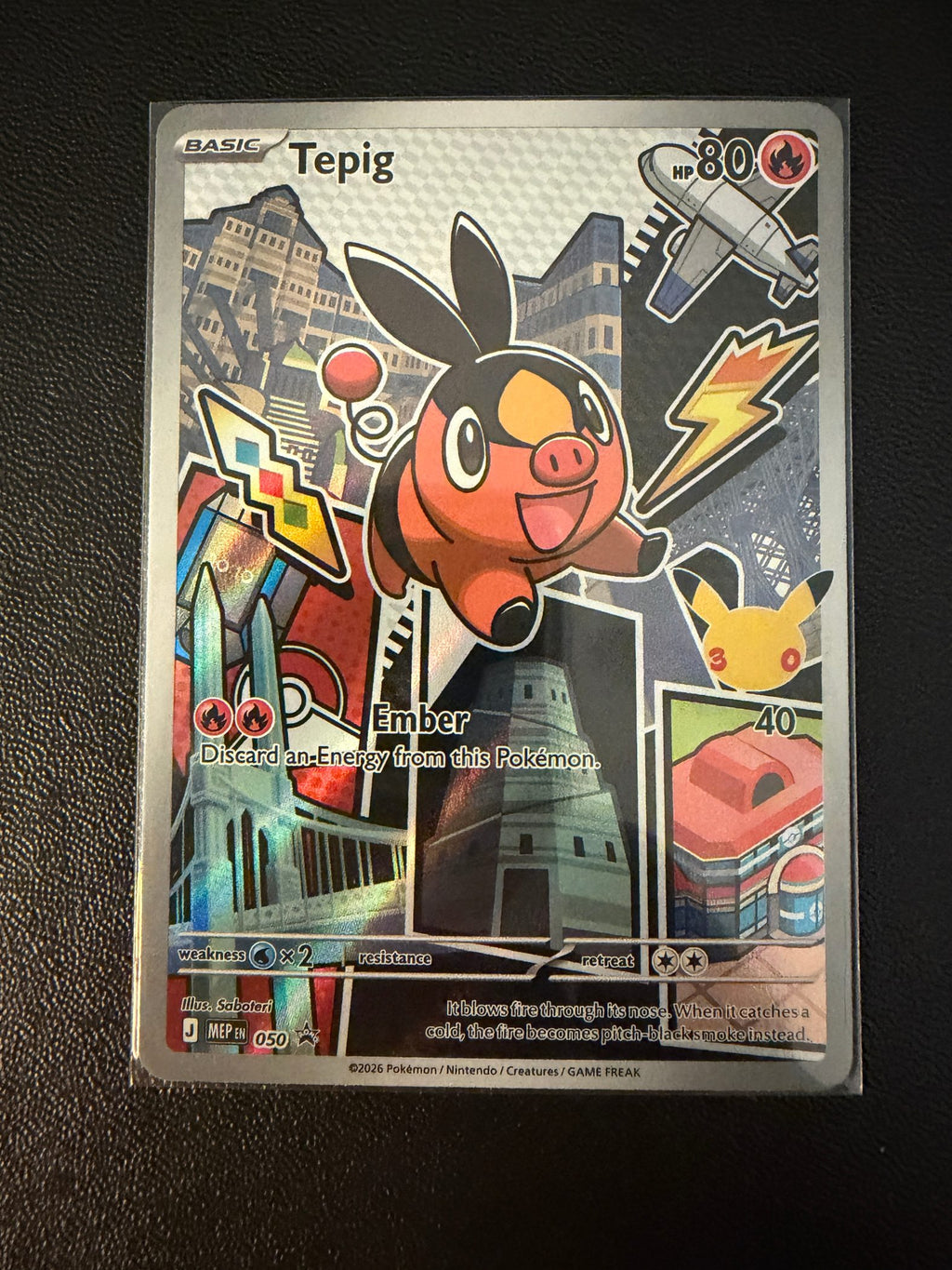 Tepig - 050