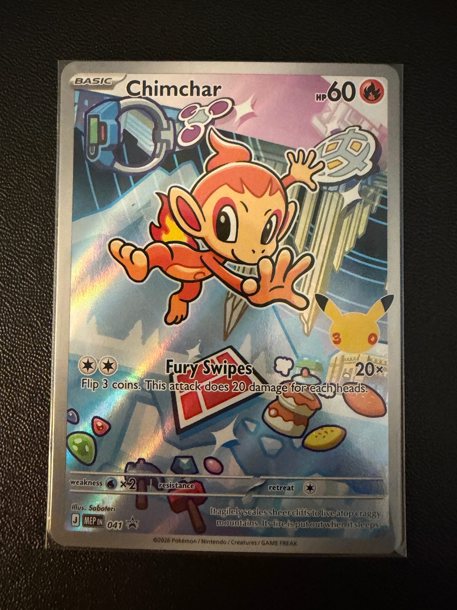 Chimchar - 041