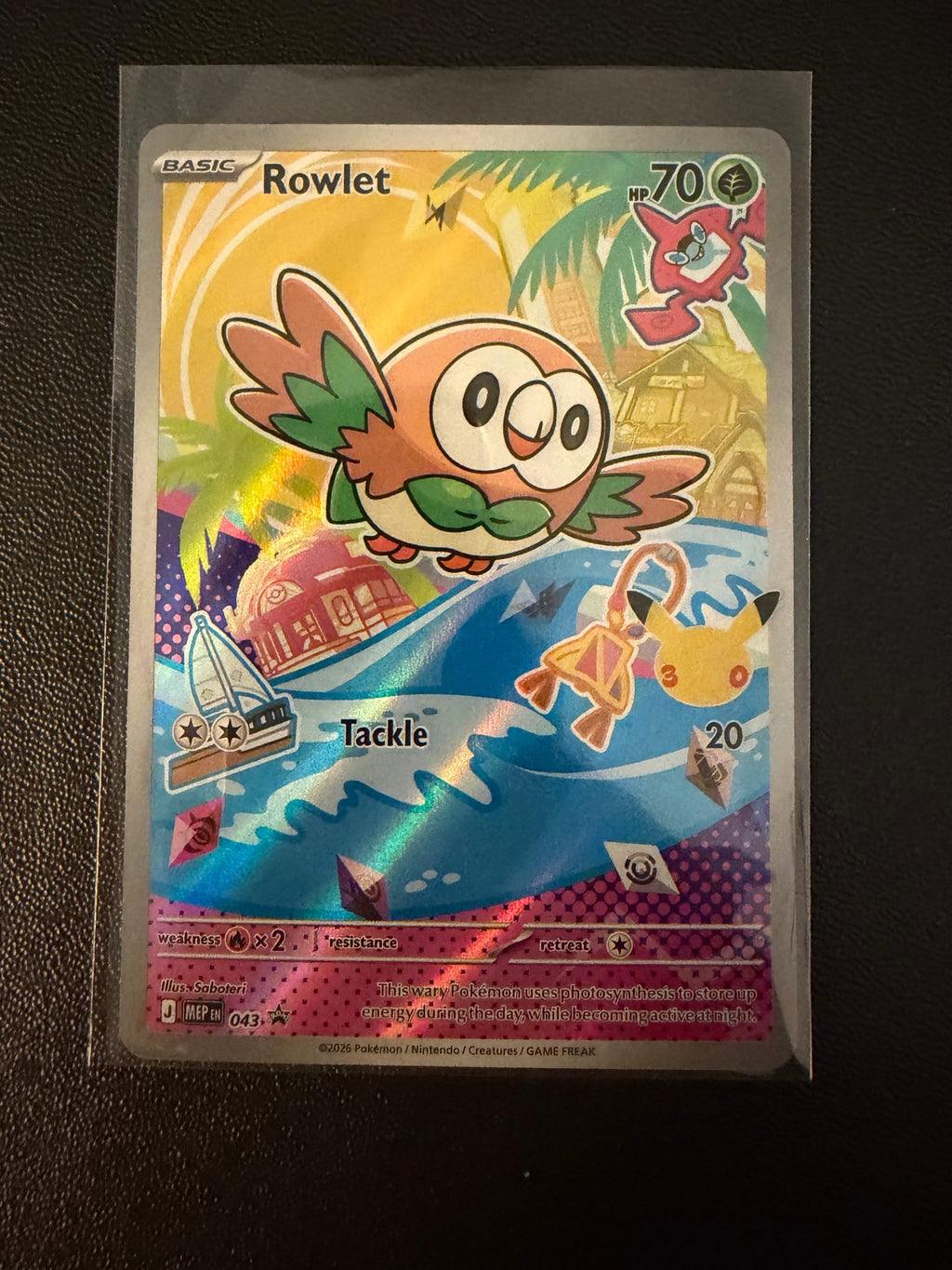 Rowlet - 043