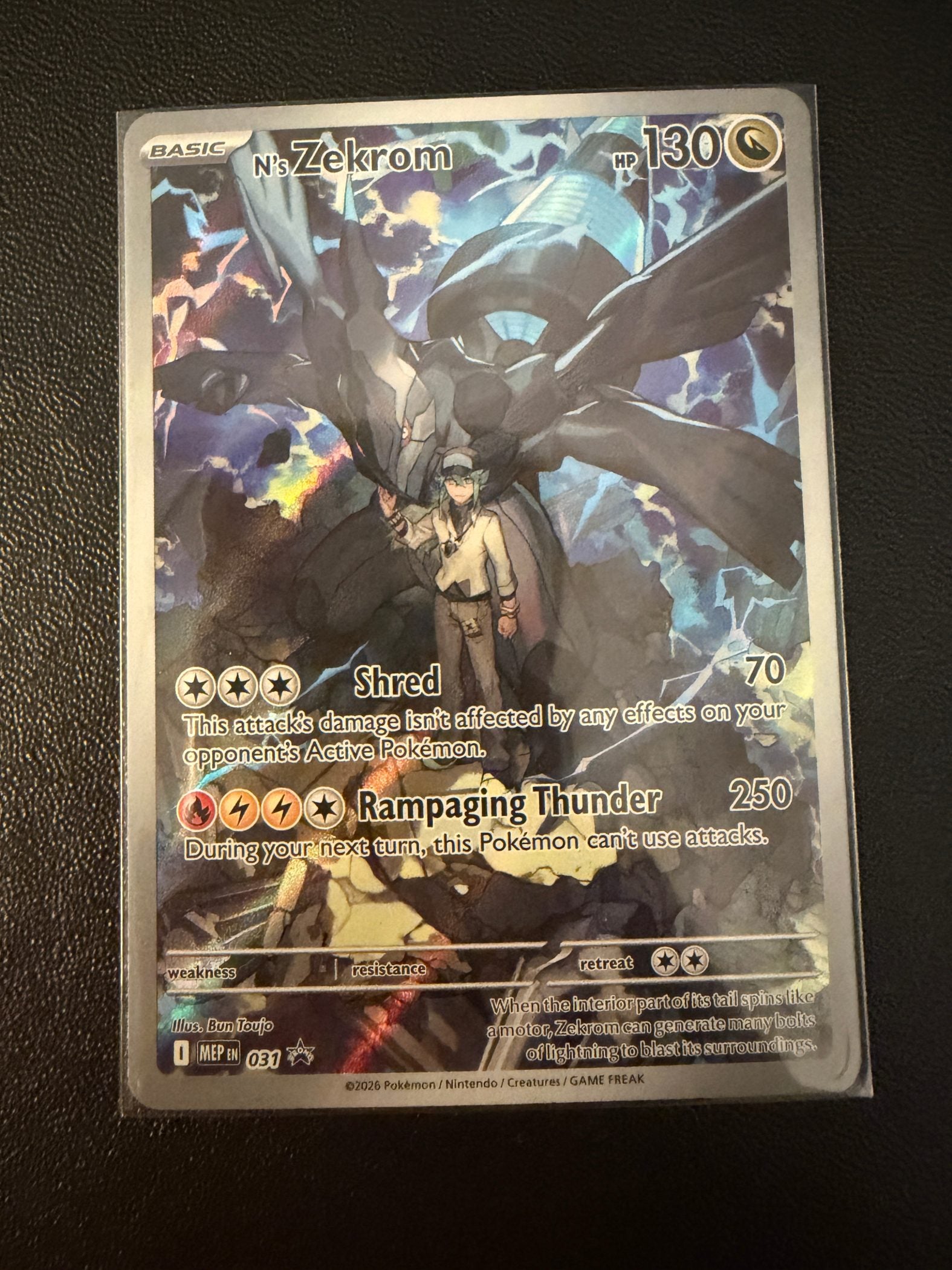 N's Zekrom - 031