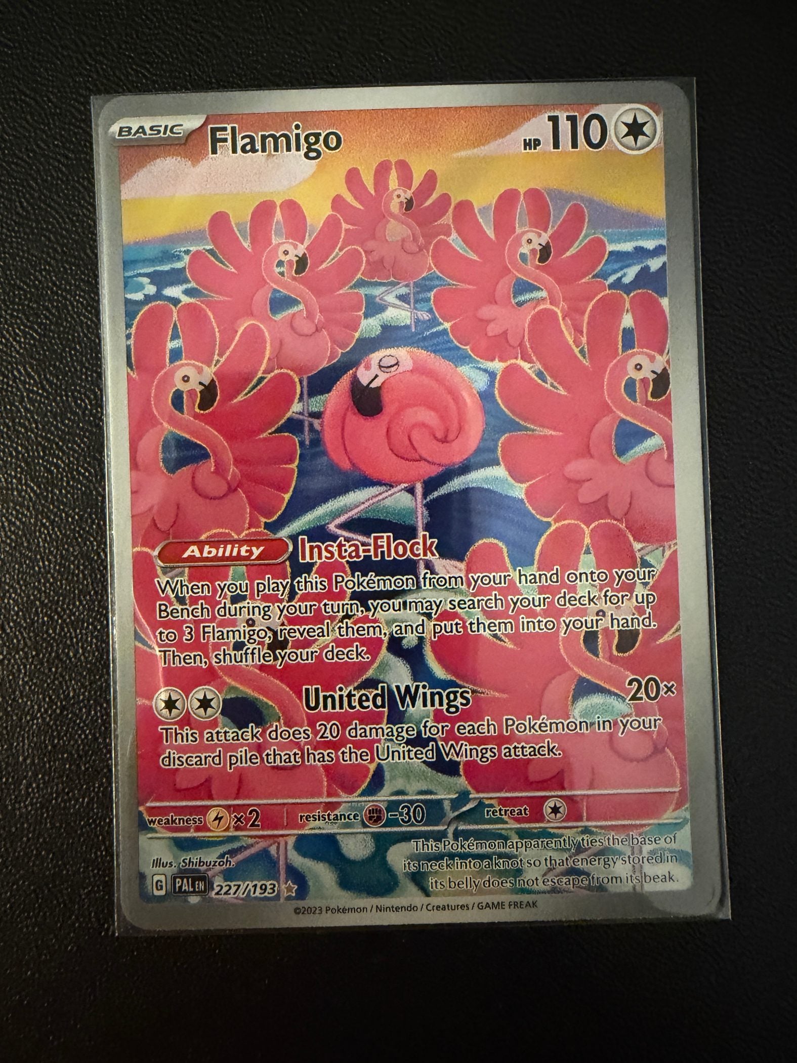 Flamigo - 227/193