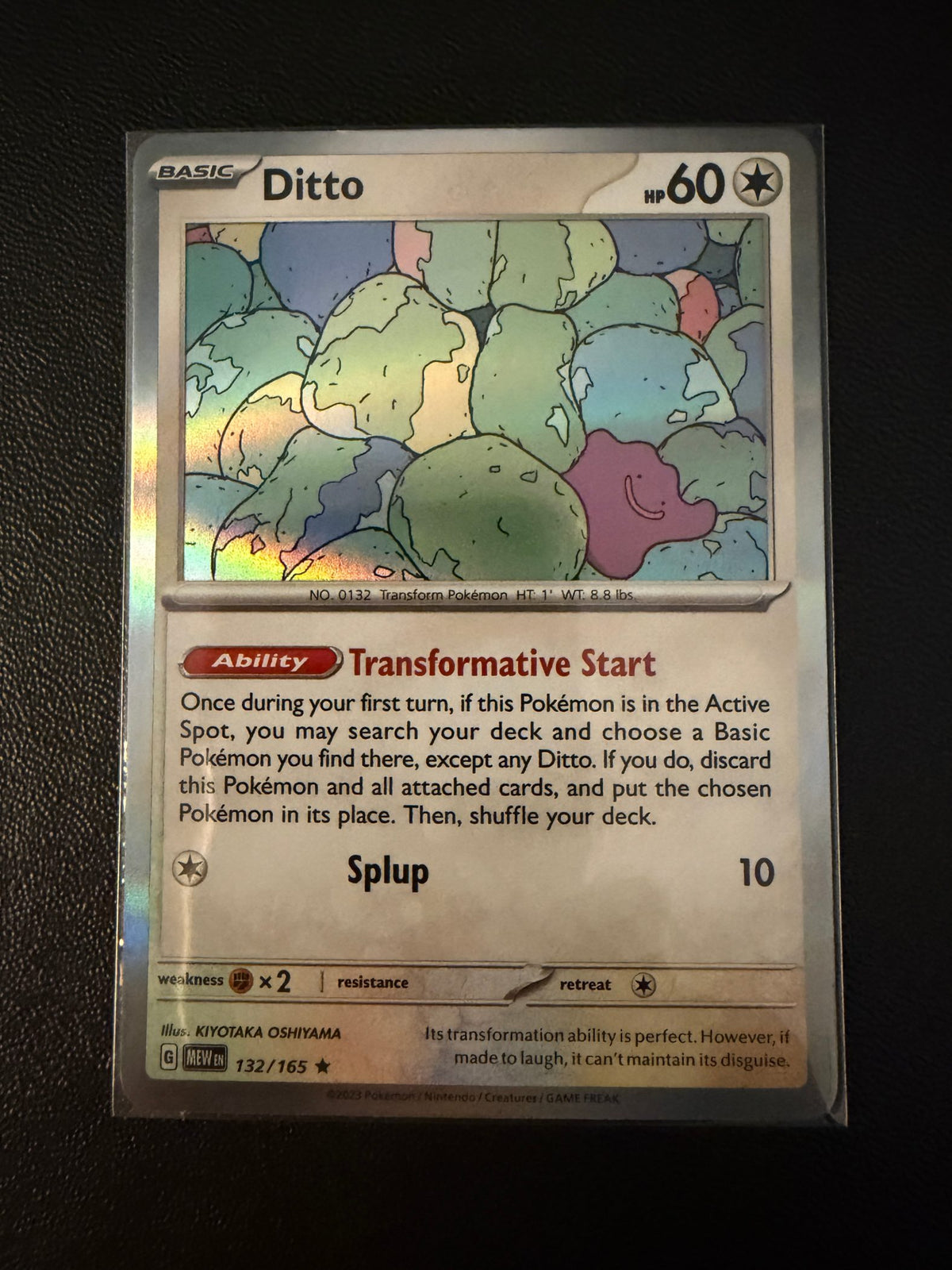 Ditto