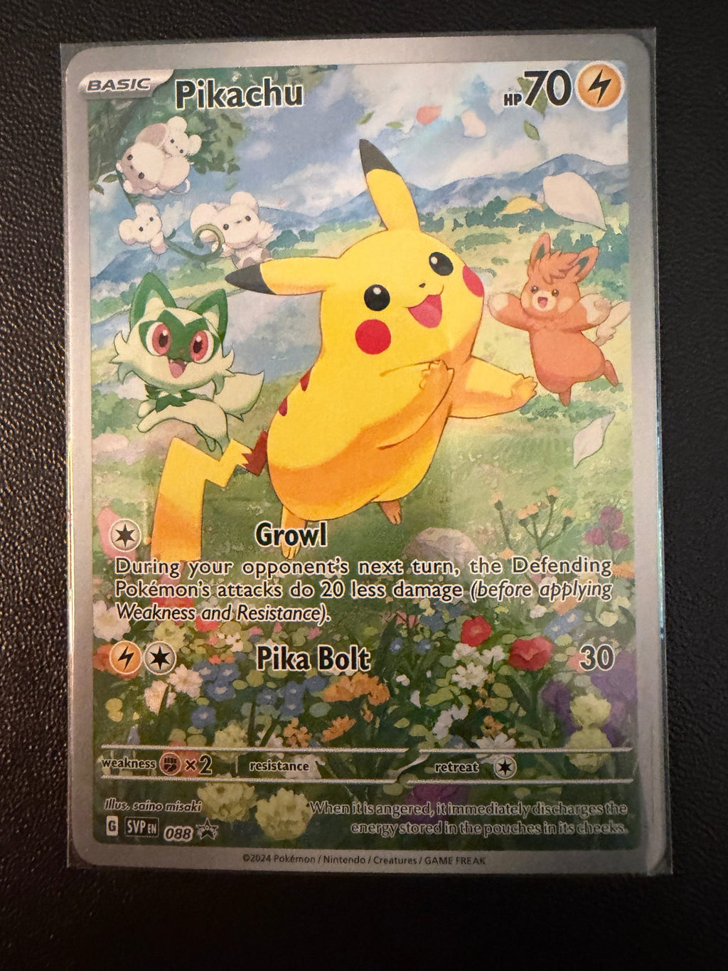 Pikachu - 088