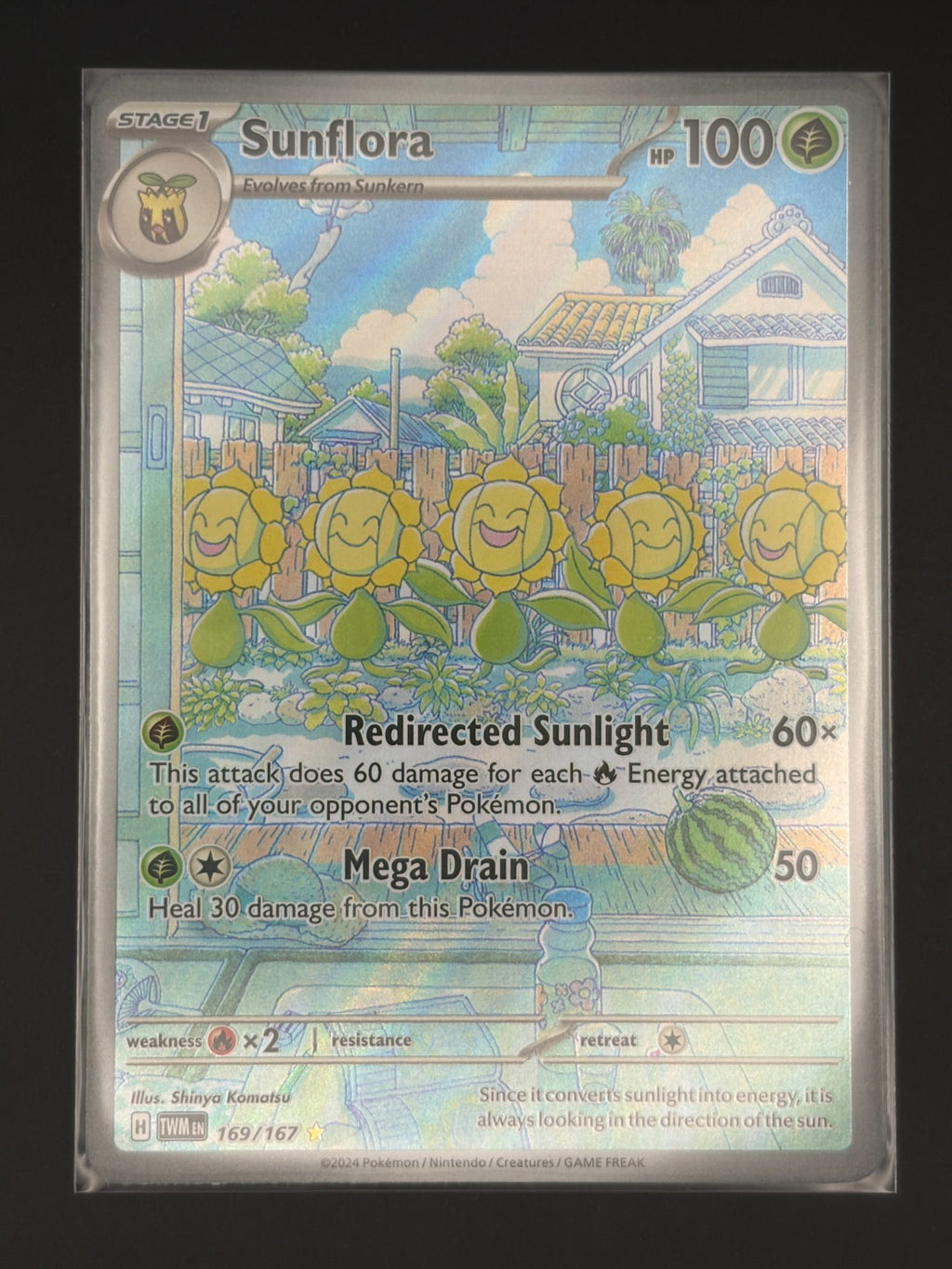 Sunflora - 169/167
