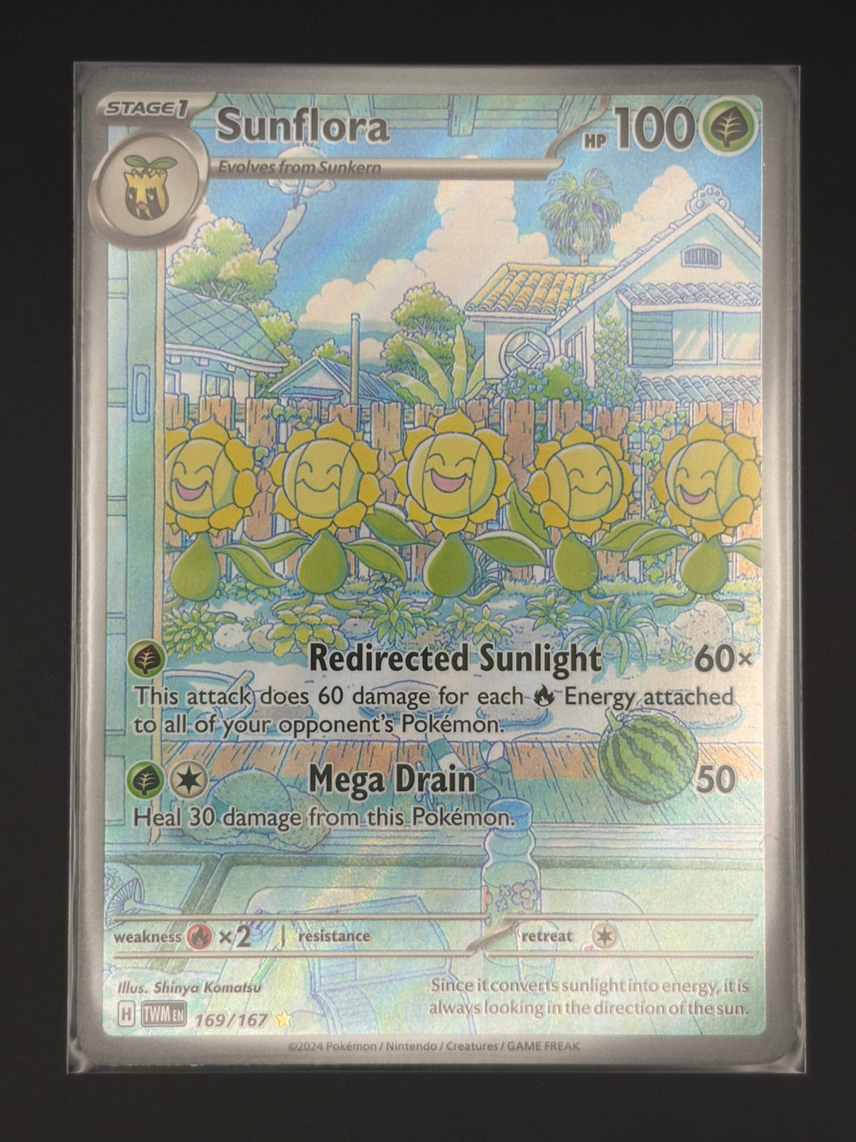 Sunflora - 169/167