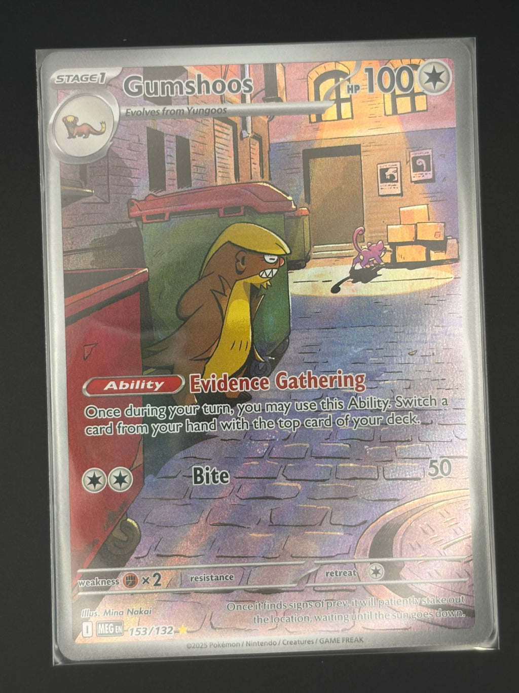 Gumshoos - 153/132