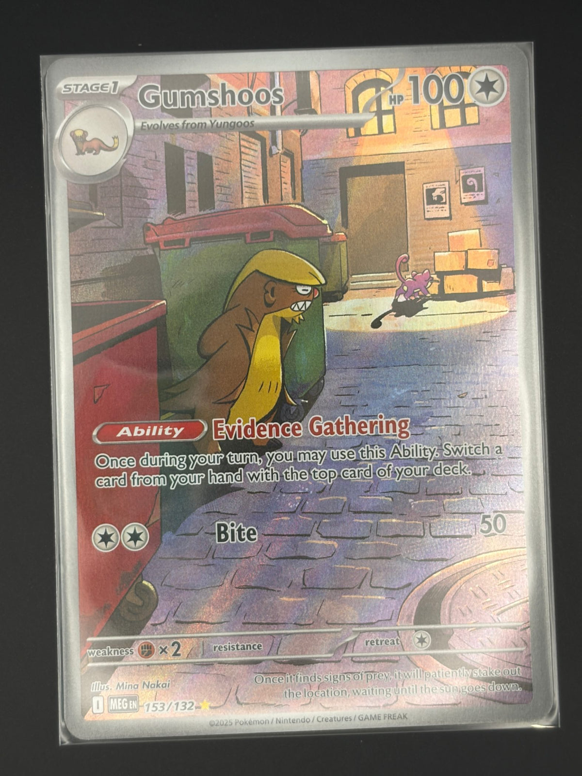 Gumshoos - 153/132