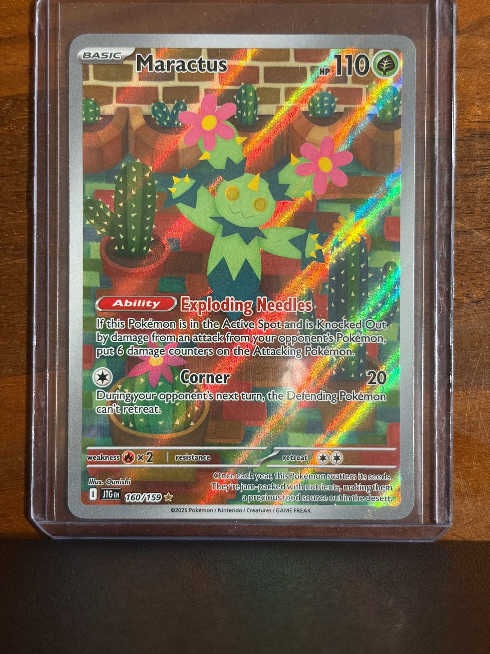 Maractus - 160/159