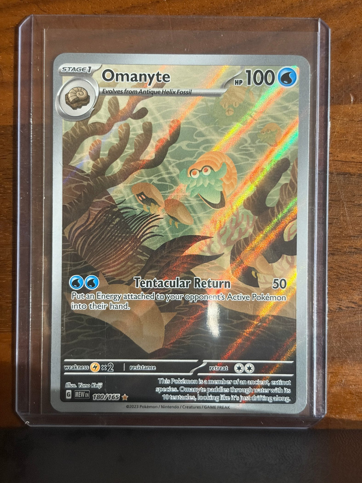 Omanyte - 180/165