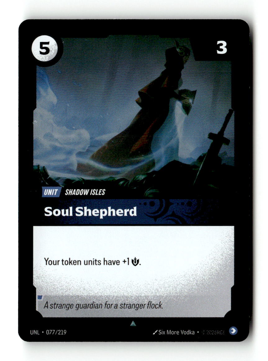 Soul Shepherd