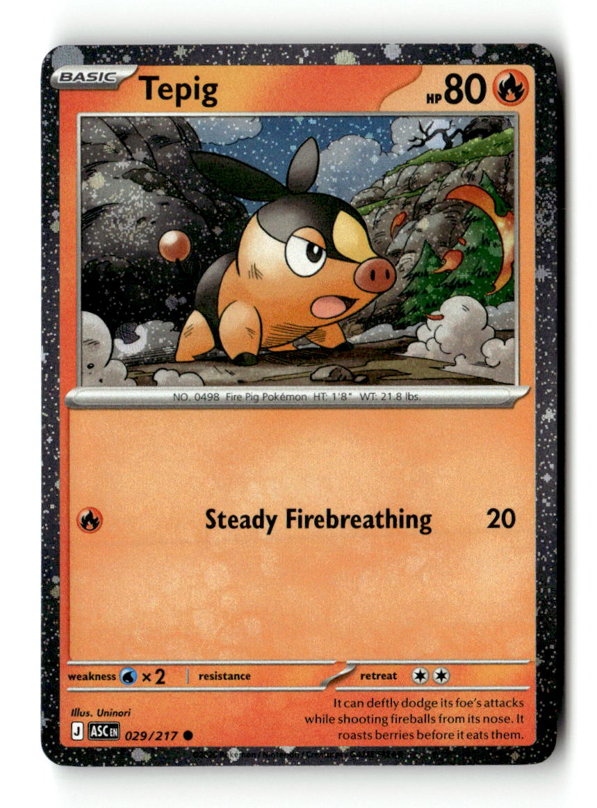 Tepig - 029/217 (Cosmos Holo)