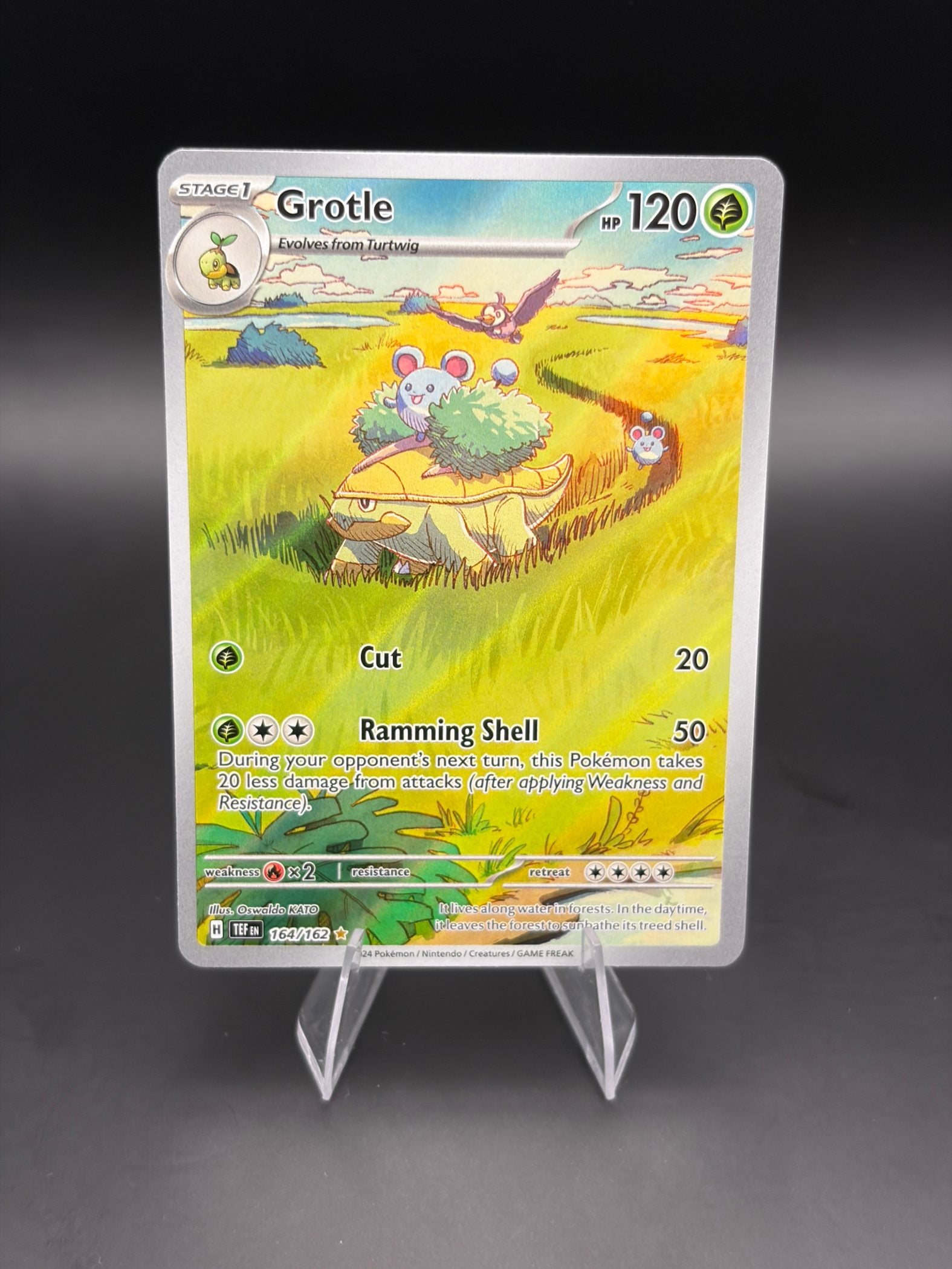 Grotle - 164/162
