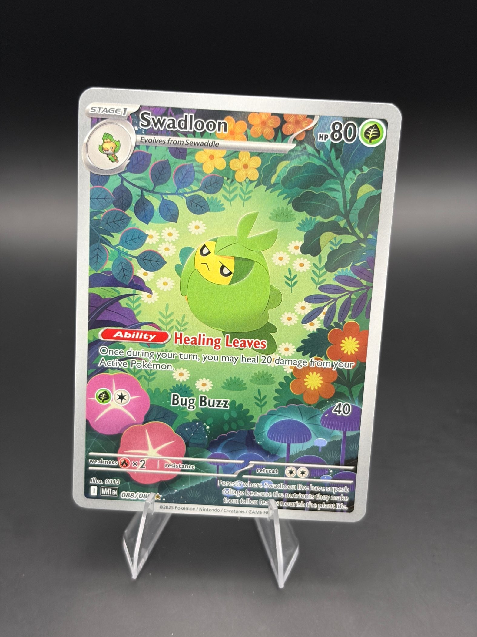 Swadloon - 088/086